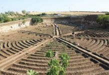 España, primer país europeo en superficie dedicada a producción ecológica España primer país producción ecológica Espanya producció ecològica