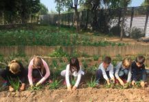 El Premio Huertos Escolares Ecológicos se consolida con un fuerte aumento de participación en su cuarta edición Premio Huertos Escolares Ecológicos 4ª Edición