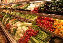 El Consell Català de l’Alimentació farà propostes per al foment de la producció ecològica Consell Català de l'Alimentació eco alimentación ecológica