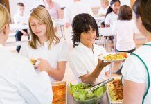Una alimentació escolar més sana i sostenible és possible Alimentación escolar alimentació escolar