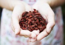 Beneficios y contraindicaciones de las bayas del Goji Bayas del Goji