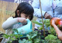 Vuelve a Valencia el eco-festival infantil más esperado, Mamaterra Valencia Mamaterra BioCultura Valencia 2017