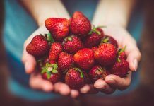 La producció ecològica i les seves repercussions en l’alimentació producción ecológica producció ecològica
