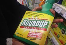 La Eurocámara quiere prohibir el glifosato en 5 años prohibir el glifosato ue