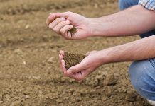 Bancos de Tierras Agroecológicos: recuperando el terreno perdido Bancos de tierras agroecológicos bancs de terra agroecològics