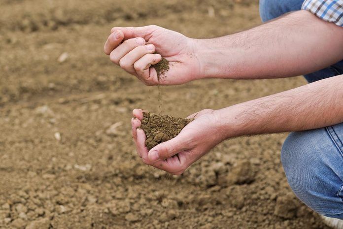 Bancos de tierras agroecológicos bancs de terra agroecològics