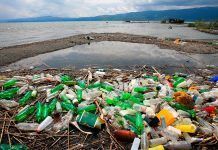 En España se consumen 3.500 millones de botellas de plástico al año botellas de plástico