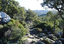 Ecoturisme al cor del Parque Natural de los Alcornocales Ecoturismo Parque Natural de los Alcornocales