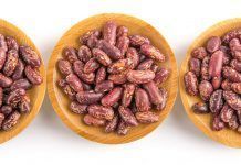 Los fríjoles, una de las mejores proteínas de origen vegetal fríjoles proteínas fesols proteïnes