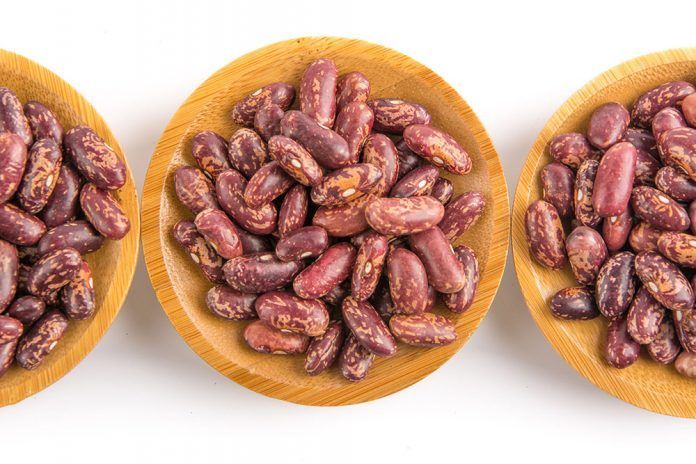 fríjoles proteínas fesols proteïnes