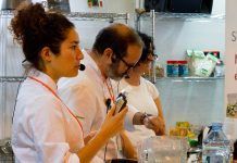 EcoGastronomía: Una gran oportunidad para generar empleo ecogastronomía