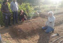 Crece el interés por los huertos ecológicos y la soberanía alimentaria huertos ecológicos seae soberanía alimentaria