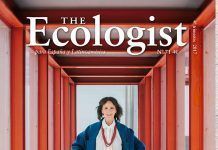 The Ecologist: Moda sostenible The Ecologist ropa limpia textil sostenible