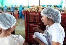 CAAE, primera empresa española autorizada para certificar productos ecológicos que entran en Europa CAAE, primera empresa española autorizada para certificar productos ecológicos que entran en Europa