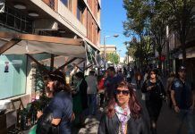 Ángeles Parra “A la cistella de la compra hi ha el nostre millor aliat, el nostre vot diari” Consumo sector bio sector ecológico en España
