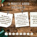 ecosegell-captura-joc-1