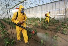 De la primavera silenciosa a la noche silenciosa: agroquímicos y Antropoceno de la primavera silenciosa a la noche silenciosa químicos agricultura glifosato