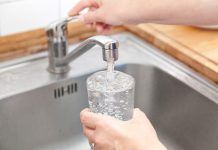 Agua de grifo o agua embotellada: ¿cuál bebo? Agua de grifo o agua embotellada: ¿cuál bebo? Aigua d'aixeta o aigua embotellada: quina bec? El agua potable de Madrid no afecta al sistema hormonal