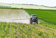 Seis países europeos piden abandonar el glifosato Seis países europeos piden abandonar el glifosato
