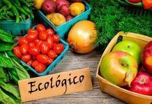 Producción Ecológica: La vertebración que necesita el sector producción ecológica informe mapama producció ecològica