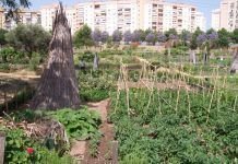 Fertilizante ecológico para huertos, jardines y plantas de interior La apuesta por los huertos urbanos es cada vez mayor