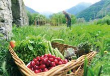 El XIII Congreso de Agricultura Ecológica de SEAE tendrá lugar en La Rioja congreso seae Agricultura ecológica en la Comunitat Valenciana: datos espectaculares