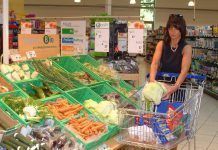 El sector ecológico en Alemania: Crecimiento dinámico El sector ecológico en Alemania: Crecimiento dinámico