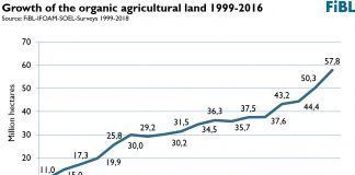 A booming organic sector: more farmers, more land and a growing market Crecimiento de la superfície dedicada a agricultura ecológica crecimiento sector ecológico imparable sector ecològic imparable A booming organic sector: more farmers, more land and a growing market organic sector