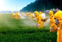 América Latina, un continente infestado por los agrotóxicos América Latina, un continente infestado por los agrotóxicos