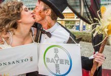 La ciudadanía en España rechaza la fusión entre Bayer y Monsanto La ciudadanía en España rechaza la fusión entre Bayer y Monsanto fusió entre Bayer i Monsanto