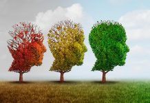 Nodreix la teva memòria Nutre tu memoria