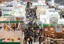 BioCultura Barcelona: 25 años de rebeldía. «Feria de Barcelona boicotea el crecimiento del sector ecológico» BioCultura Barcelona 25 años de rebeldía