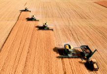 Mega fusión entre Bayer y Monsanto: la Comisión Europea da luz verde Mega fusión entre Bayer y Monsanto: la Comisión Europea da luz verde fusió entre bayer i monsanto