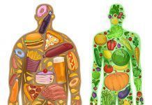 Com tractar la Diabetis tipus 2 Cómo tratar la Diabetes tipo 2 diabetis tipus 2