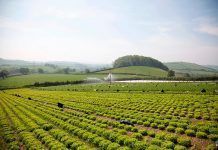 A new payment model for the Common Agriculture Policy A new payment model for the Common Agriculture Policy Un nuevo modelo de pago para la Política Agraria Común Un nou model de pagament per a la Política Agrària Comuna
