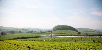 A new payment model for the Common Agriculture Policy A new payment model for the Common Agriculture Policy Un nuevo modelo de pago para la Política Agraria Común Un nou model de pagament per a la Política Agrària Comuna