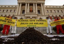 20 kg de abejas muertas en la puerta del Ministerio de Agricultura 20 kg de abejas muertas en la puerta del Ministerio de Agricultura