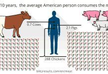 Meat-Calculator. Calcula el impacto del consumo de carne Meat-Calculator. Calcula el impacto del consumo de carne