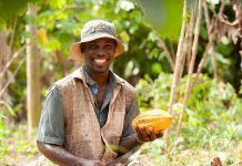 Los pequeños productores no ganan lo suficiente para alimentar a sus propias familias Los pequeños productores no ganan lo suficiente para alimentar a sus propias familias