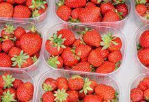 Los residuos de pesticidas en frutas y verduras Los residuos de pesticidas en frutas y verduras residus de pesticides en fruites i verdures