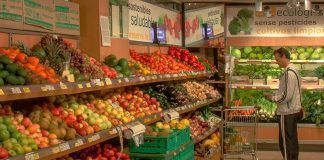 Spanish shoppers spend five million euros a day on organic food Comercio especializado ecológico: valor seguro. Calidad y filosofía Spanish shoppers spend five million euros a day on organic food org