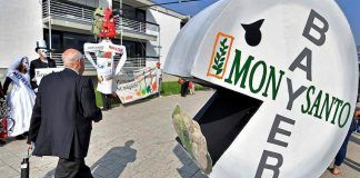 Stop ‘Baysanto’ from monopolising seeds! 'Baysanto' ¡BASTA YA de monopolizar las semillas! baysanto monopolising seeds