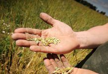 Organic Movement asks for higher environmental ambition in new CAP La agricultura ecológica debe ser premiada en la próxima PAC Organic Movement asks for higher environmental ambition in new CAP