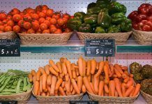 Xifres de rècord en l’agricultura ecològica mundial Cifras de récord en la agricultura ecológica mundial