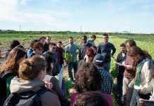 El Màster d’Agricultura Ecològica de la Universitat de Barcelona compleix 20 anys El Máster de Agricultura Ecológica de la Universidad de Barcelona cumple 20 años