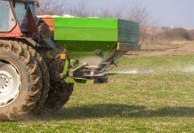 Microorganismos vs fertilizantes químicos: al rescate del suelo Microorganismos vs fertilizantes químicos: al rescate del suelo microorganismes fertilitzants