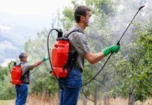 Aumenta el número de pesticidas disruptores endocrinos en los alimentos