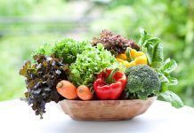 Noves dades científiques sobre els beneficis de la dieta ecològica Nuevos datos científicos sobre los beneficios de la dieta ecológica Noves dades científiques sobre els beneficis de la dieta ecològica