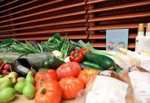 Madrid: Nueva Estrategia de Alimentación Saludable y Sostenible Madrid: Nueva Estrategia de Alimentación Saludable y Sostenible