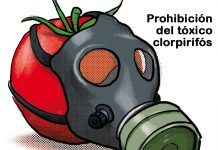 Clorpirifós, el insecticida más detectado en nuestra comida y prohibido en EEUU Clorpirifós, insecticida prohibido en EEUU, es el más detectado en nuestra comida